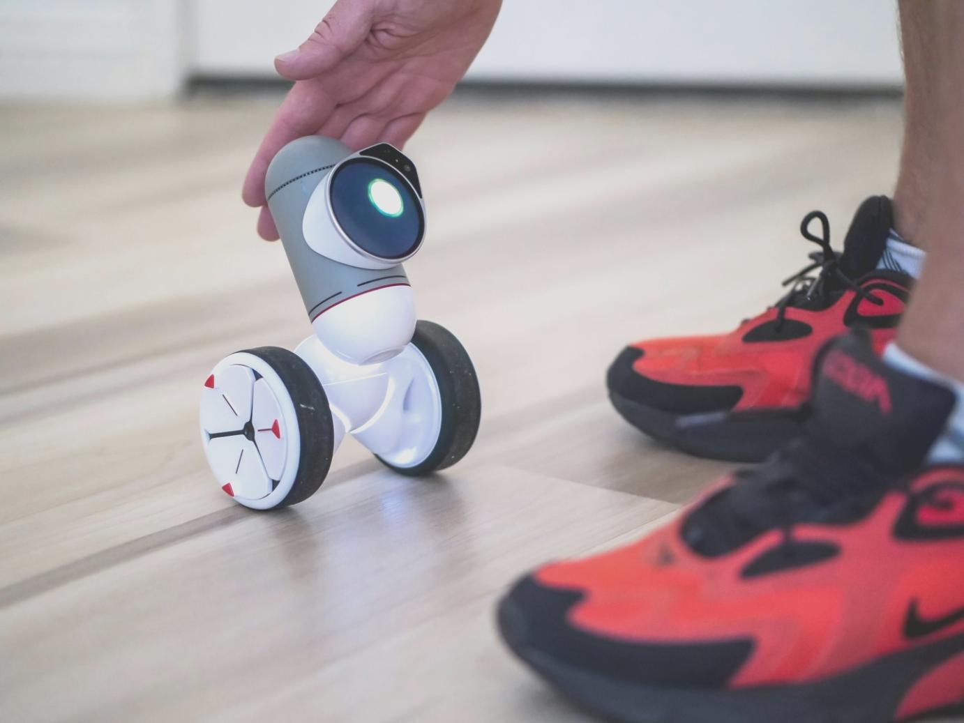 KI-basierte Bildanalyse zur automatischen Objekterkennung